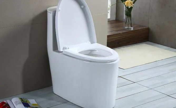 马桶为什么老是堵