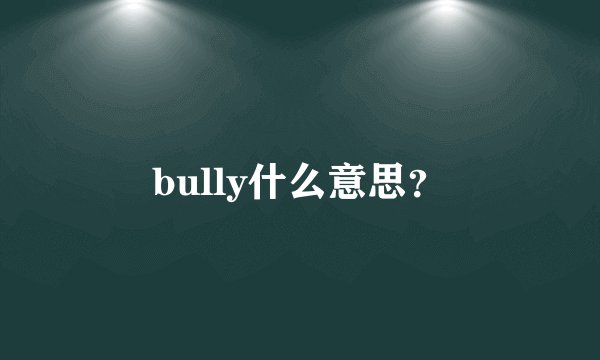 bully什么意思？