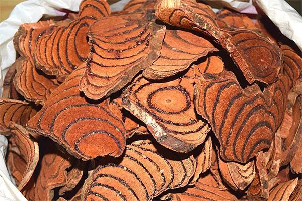 云南十大名贵药材，何首乌只能垫底，第三被称为仙草