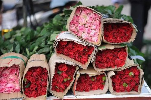 我未曾告诉你的事沈唯林彦深全文免费阅读 作者鄀宁宁