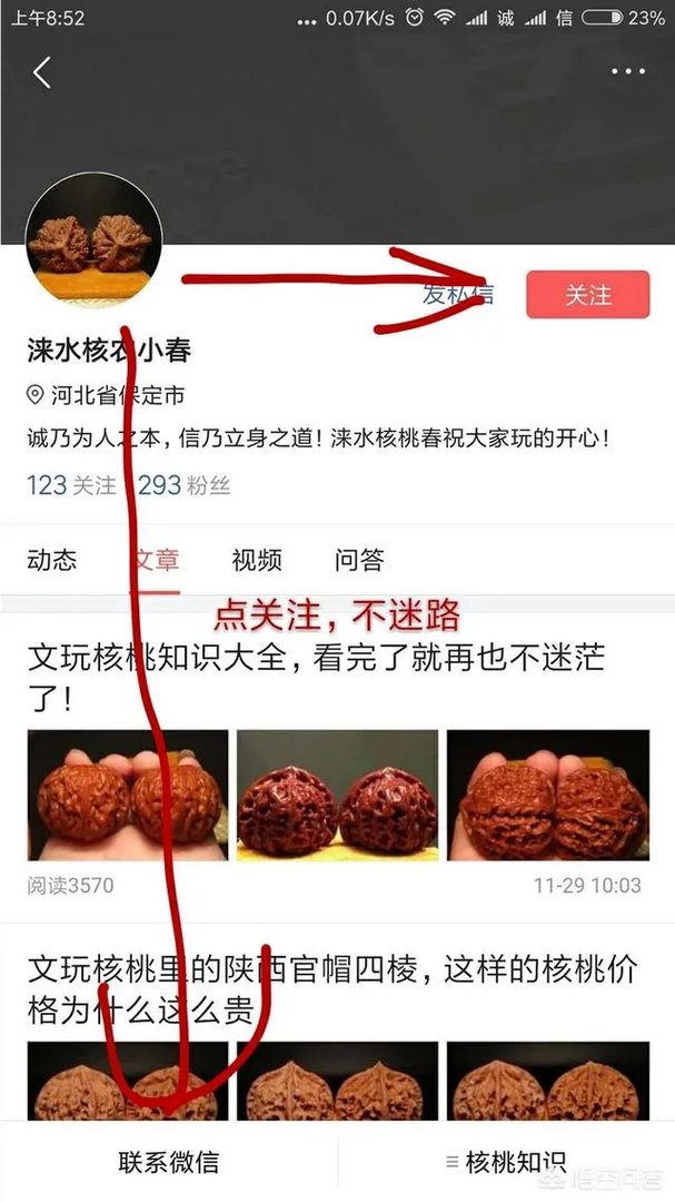 南疆石狮子头为什么那么贵，还那么受欢迎？