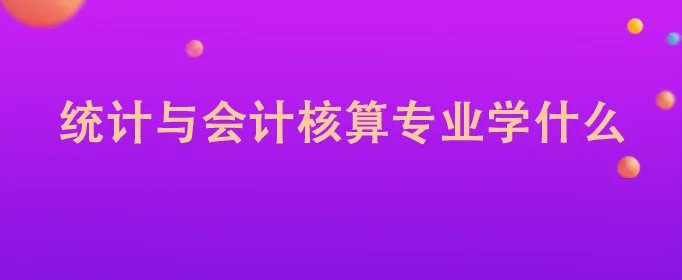 统计与会计核算专业学什么