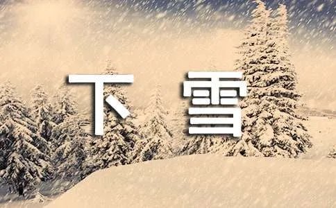 下雪的日记 
