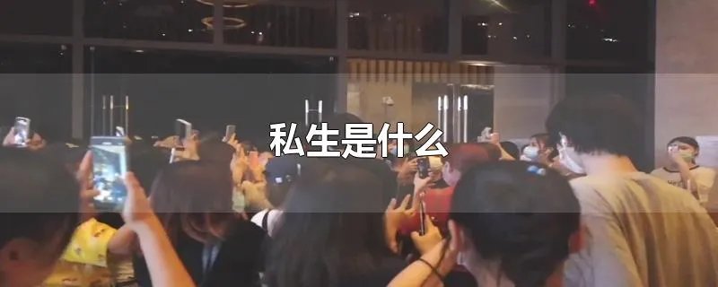 私生是什么