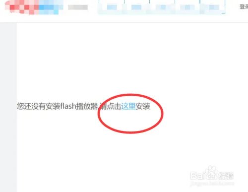 安装 Adobe Flash Player For Chrome