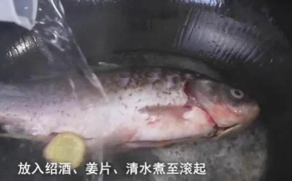 清炖鱼汤怎么做好喝又营养