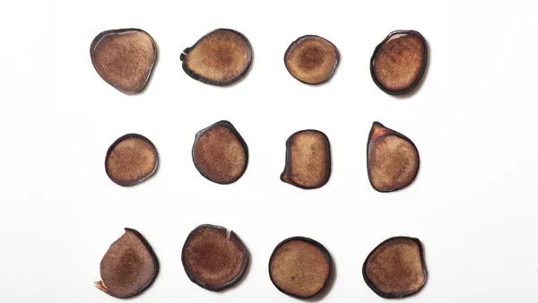 鹿茸的功效与作用