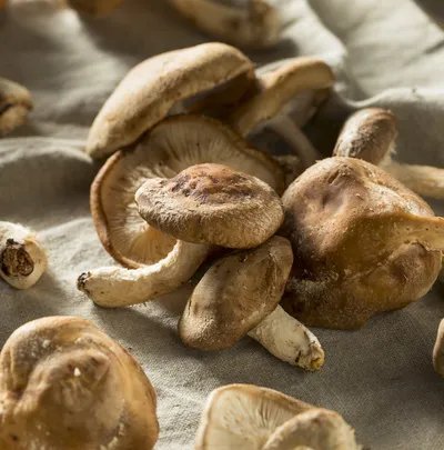 教你如何正确使用牙线(图示)