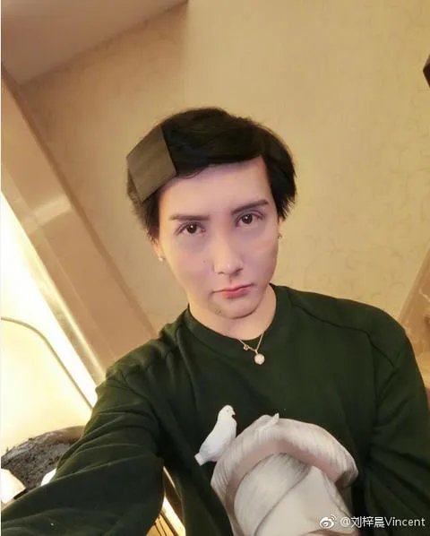 如何评价刘梓晨是有钱没头脑的网红？