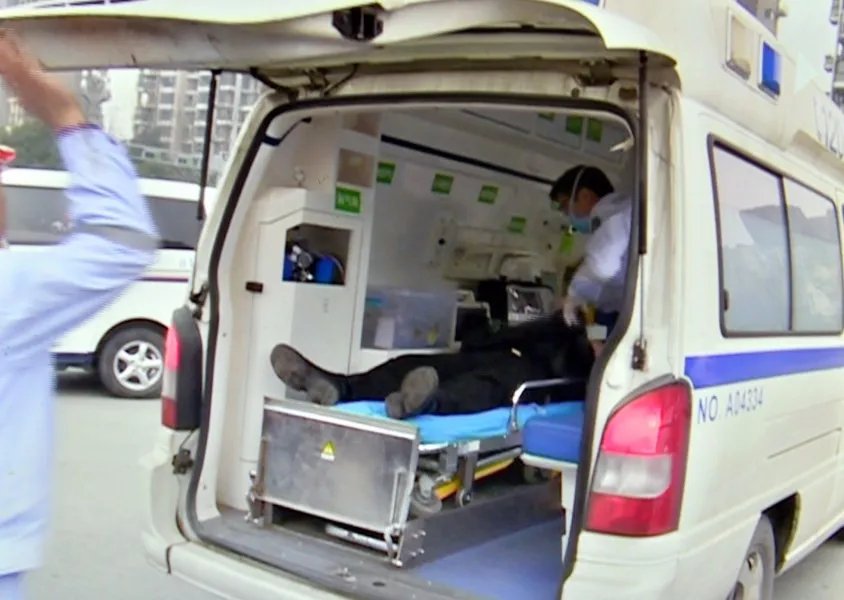 辟谷5天饿晕撞车是怎么回事？