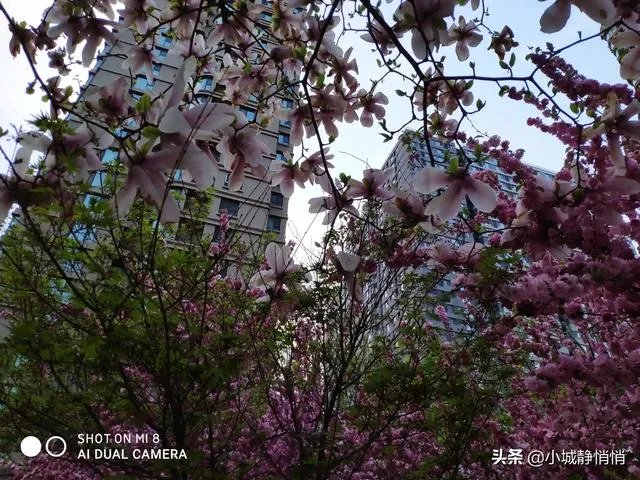 你眼里的春天是什么样子的?