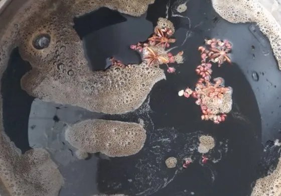 怎么做好吃 糖蒜最正宗的做法