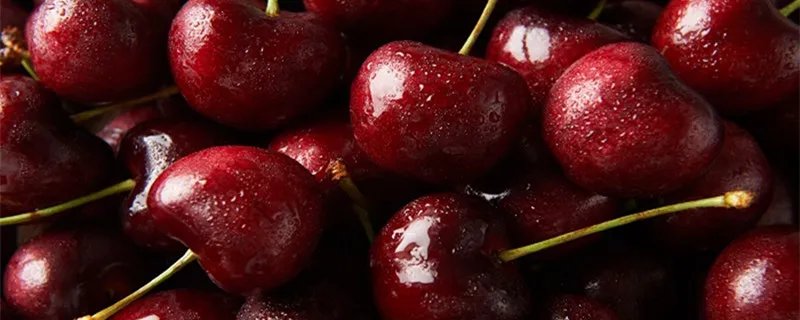 绿色食品指的是 绿色食品指的是什么食品