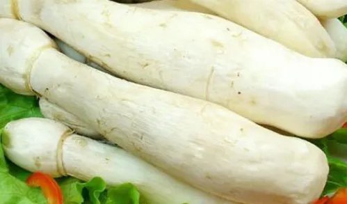 鸡腿菇怎么做好吃？