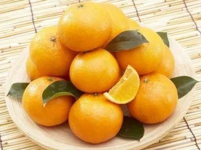 中国十大橘子产地