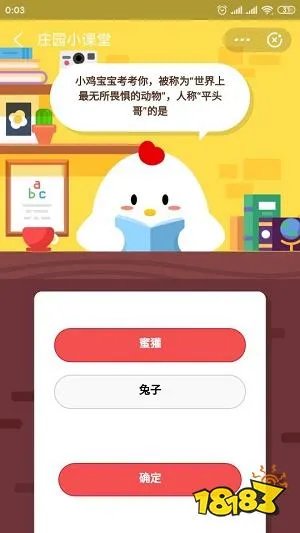 被称为世界上最无所畏惧的动物,人称平头哥的是什么动物