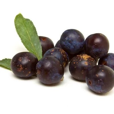 什么是低聚果糖