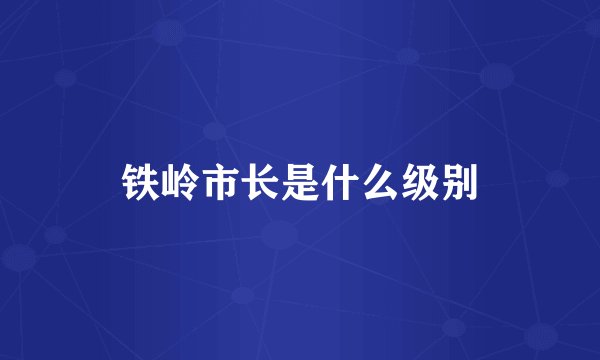 铁岭市长是什么级别