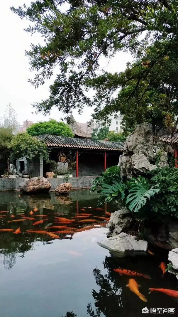 广东顺德清晖园好玩吗？