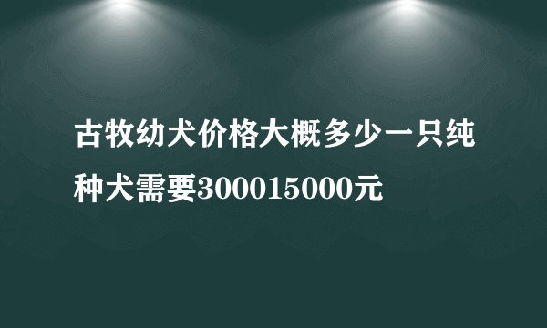 古牧幼犬价格大概多少一只纯种犬需要300015000元