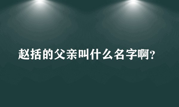 赵括的父亲叫什么名字啊？