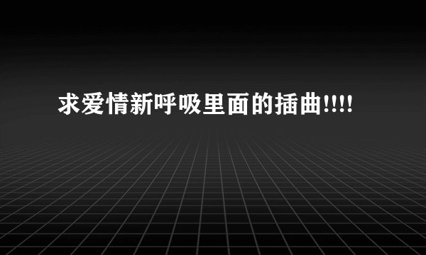 求爱情新呼吸里面的插曲!!!!