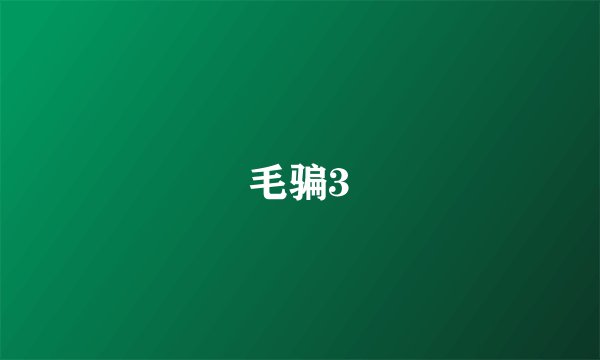 毛骗3