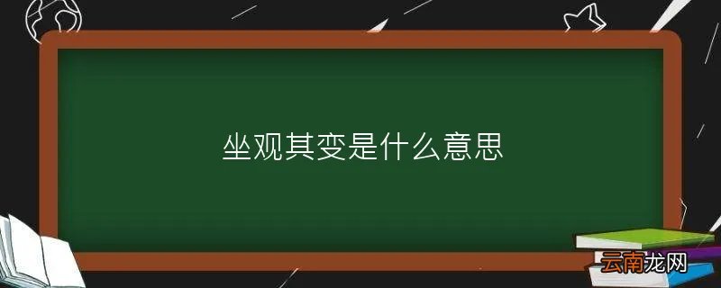 坐观其变是什么意思