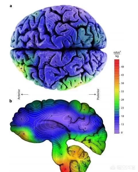 人类第六感首次被证实,你怎么看?