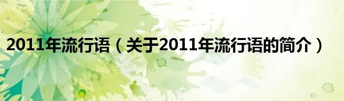 2011年流行语（关于2011年流行语的简介）