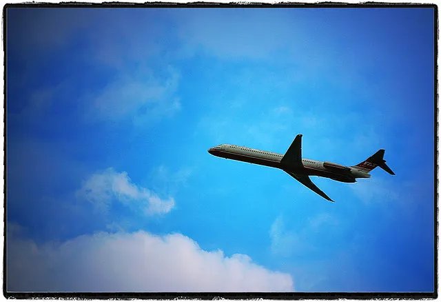 忘不掉的海的歌词