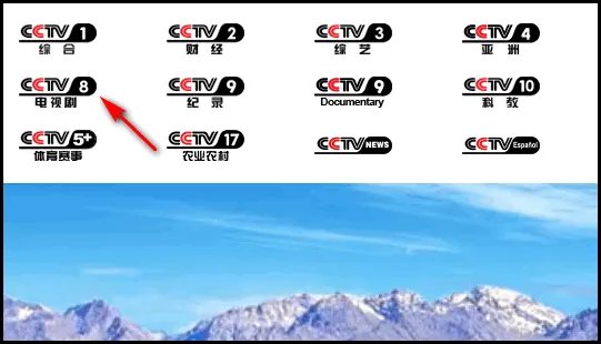 中央8台直播在线观看