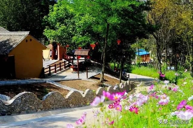 农村怎样致富？