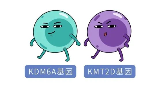 长得太漂亮也是病？歌舞伎面谱综合征，一种美得像洋娃娃的遗传病