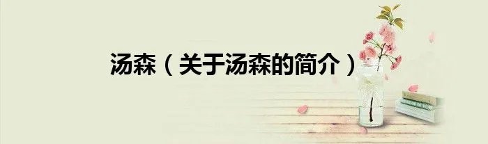 汤森（关于汤森的简介）