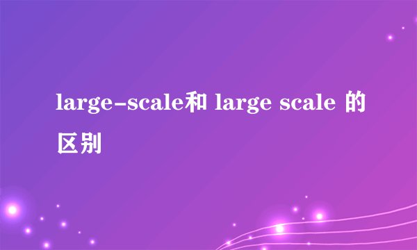large-scale和 large scale 的区别