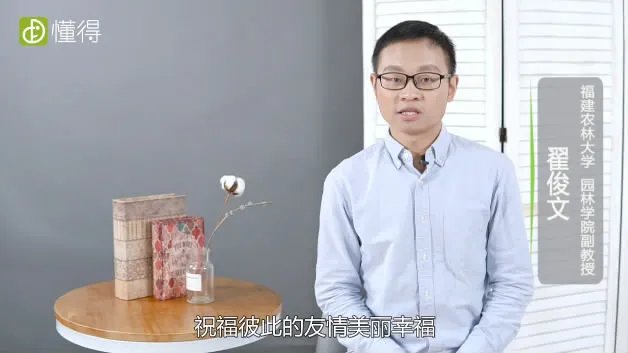 黄玫瑰代表什么意思