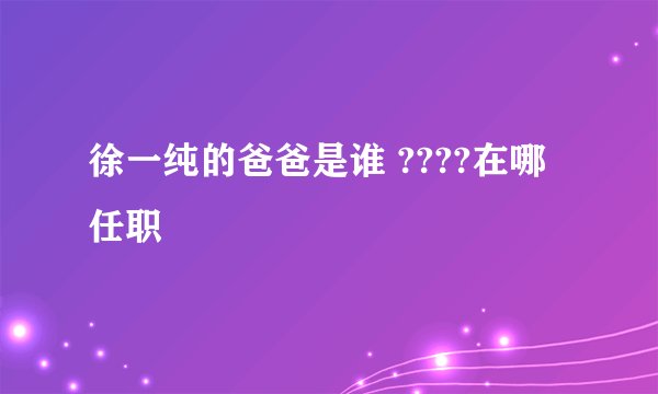 徐一纯的爸爸是谁 ????在哪任职