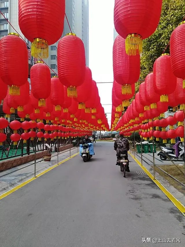 舒红兵四段婚姻