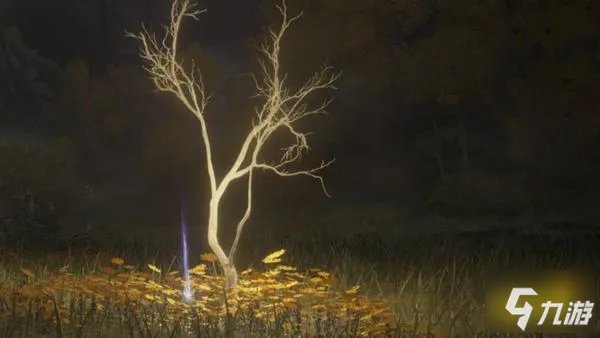 《艾尔登法环》全黄金树种子获取攻略 黄金树种子在哪获得