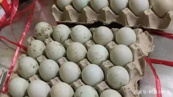 怎样腌咸鸭蛋？