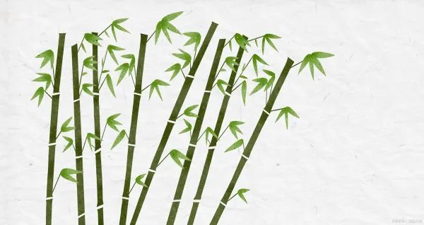 世界上长得最快的植物是什么?这种植物有什么特点?