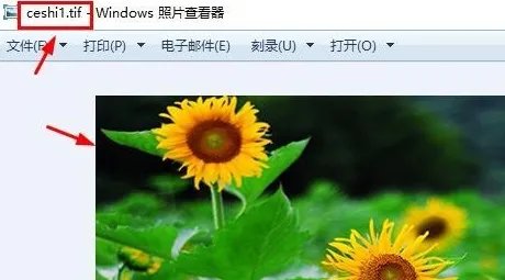 TIF格式如何打开