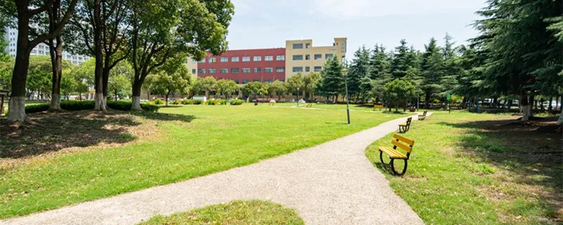 文科生可以报哪些大学 文科生能够报哪些大学