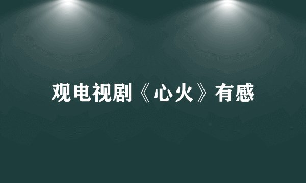 观电视剧《心火》有感