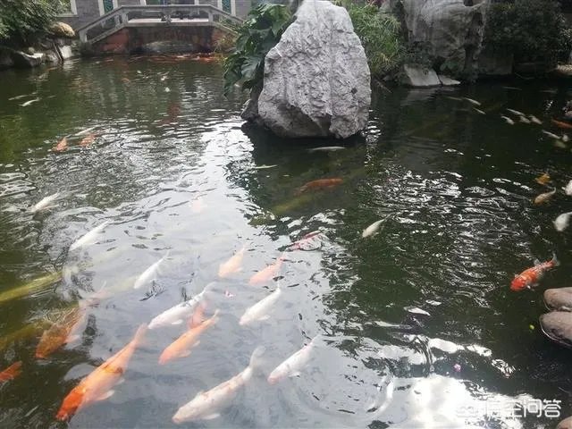 广东顺德清晖园好玩吗？