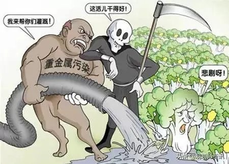 央视网评娱乐歪风