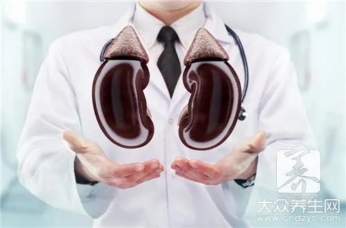  人体五脏六腑是指什么