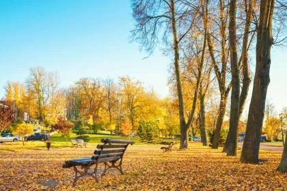 2019年立秋是哪一天？立秋是什么意思呢？