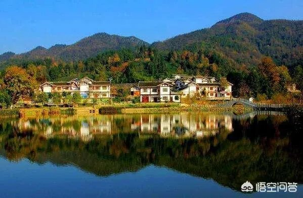 央视网评娱乐歪风